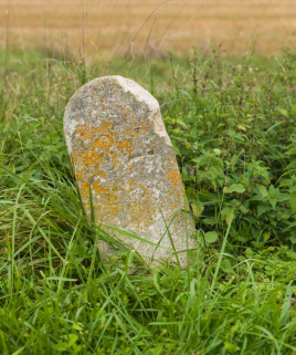 Vue d'ensemble de la borne. © Région Bourgogne-Franche-Comté, Inventaire du patrimoine