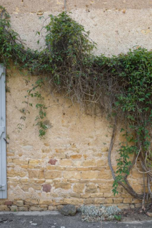 maison © Région Bourgogne-Franche-Comté, Inventaire du patrimoine maison © Région Bourgogne-Franche-Comté, Inventaire du patrimoine