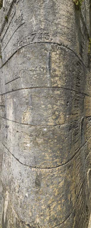 site d'écluse © Région Bourgogne-Franche-Comté, Inventaire du patrimoine