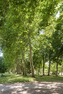 allée © Région Bourgogne-Franche-Comté, Inventaire du patrimoine