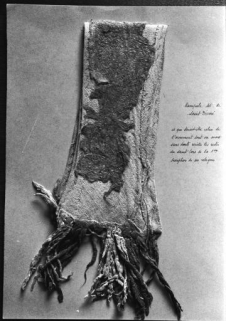 Vue d'ensemble. © Région Bourgogne-Franche-Comté, Inventaire du patrimoine