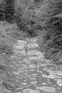Montée vers le passage : sol stabilisé en pierres rondes. © Région Bourgogne-Franche-Comté, Inventaire du patrimoine