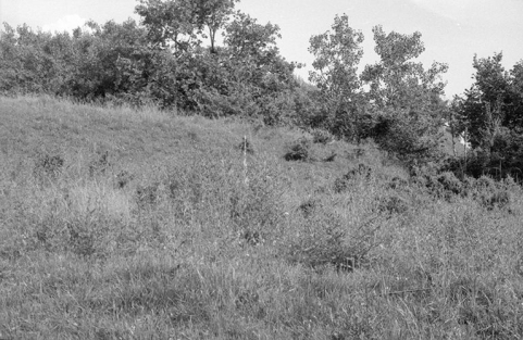 Détail du site. © Région Bourgogne-Franche-Comté, Inventaire du patrimoine