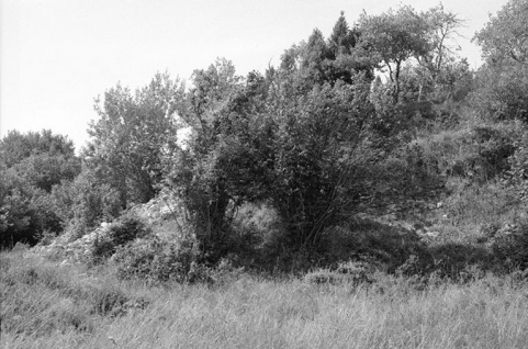 Détail du site. © Région Bourgogne-Franche-Comté, Inventaire du patrimoine