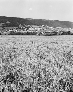 Village vu depuis la route de Chauveresche. © Région Bourgogne-Franche-Comté, Inventaire du patrimoine