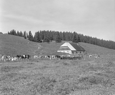 Pignon postérieur et goutterot gauche : vue d'ensemble dans le site. © Région Bourgogne-Franche-Comté, Inventaire du patrimoine