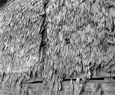 Tavaillons de la façade latérale droite. © Région Bourgogne-Franche-Comté, Inventaire du patrimoine