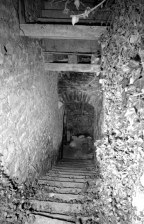 Partie habitation : escalier menant à la cave. © Région Bourgogne-Franche-Comté, Inventaire du patrimoine