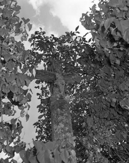 Détail : le Christ. © Région Bourgogne-Franche-Comté, Inventaire du patrimoine