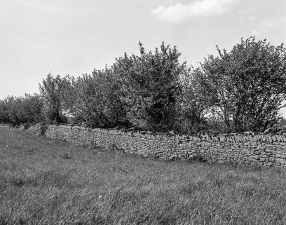 Mur en pierre sèche au lieudit Chaumois-Boivin. © Région Bourgogne-Franche-Comté, Inventaire du patrimoine