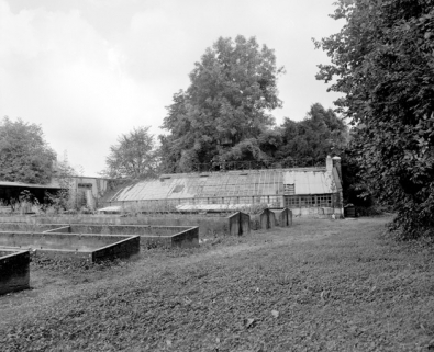Serres situées dans les jardins du château en 1981. SRI. Enquête régionale sur les bâtiments industriels (1979-1981). © Région Bourgogne-Franche-Comté, Inventaire du patrimoine Serres situées dans les jardins du château en 1981. SRI. Enquête régionale sur les bâtiments industriels (1979-1981). © Région Bourgogne-Franche-Comté, Inventaire du patrimoine