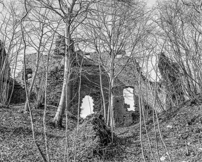 Vue générale des ruines du donjon. © Région Bourgogne-Franche-Comté, Inventaire du patrimoine