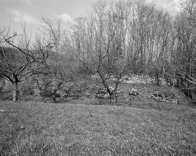 Vue des vestiges depuis le sud-est. © Région Bourgogne-Franche-Comté, Inventaire du patrimoine
