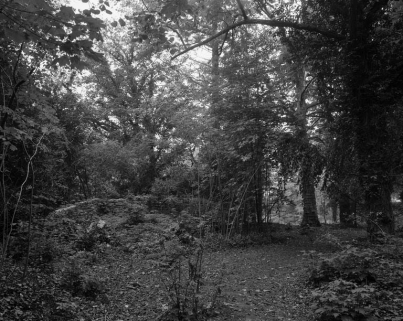 Vue d'ensemble du fruitier. © Région Bourgogne-Franche-Comté, Inventaire du patrimoine