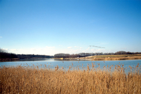 Etang de l'Aillon vu de l'est. © Région Bourgogne-Franche-Comté, Inventaire du patrimoine Etang de l'Aillon vu de l'est. © Région Bourgogne-Franche-Comté, Inventaire du patrimoine