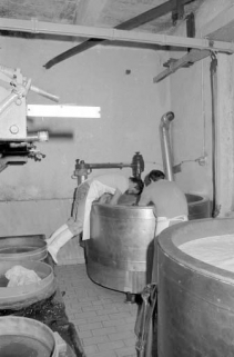 Fabrication du comté : ramassage du caillé dans la toile. © Région Bourgogne-Franche-Comté, Inventaire du patrimoine