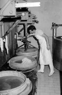 Fabrication du comté : mise sous presse. © Région Bourgogne-Franche-Comté, Inventaire du patrimoine