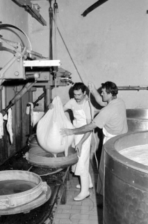 Fabrication du comté : dépose du caillé dans le cercle. © Région Bourgogne-Franche-Comté, Inventaire du patrimoine