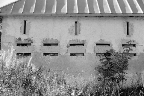 Baies fromagères sur la façade nord-est du chalet d'estive du Petit Boulu. © Région Bourgogne-Franche-Comté, Inventaire du patrimoine Baies fromagères sur la façade nord-est du chalet d'estive du Petit Boulu. © Région Bourgogne-Franche-Comté, Inventaire du patrimoine