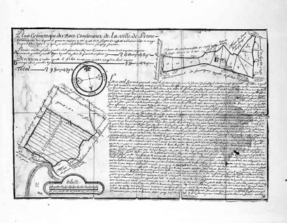 Plan géométrique des bois communaux. © Région Bourgogne-Franche-Comté, Inventaire du patrimoine