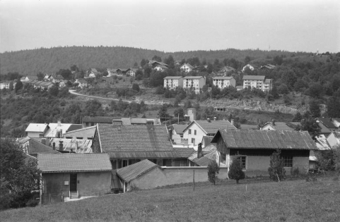Vue d'ensemble depuis l'est. © Région Bourgogne-Franche-Comté, Inventaire du patrimoine Vue d'ensemble depuis l'est. © Région Bourgogne-Franche-Comté, Inventaire du patrimoine