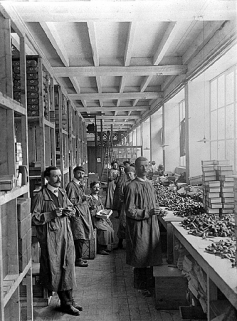 First Floor. Warehouse [Premier étage. Magasin industriel en 1910]. © Région Bourgogne-Franche-Comté, Inventaire du patrimoine