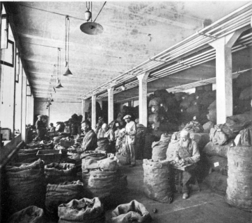 Selection of briar blocks (Ebauchons) [choix des ébauchons dans les années 1920]. © Région Bourgogne-Franche-Comté, Inventaire du patrimoine