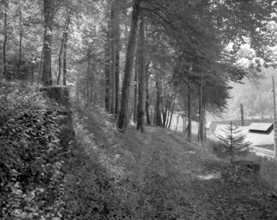 Grande allée ouest de l'ancien jardin d'agrément, vue du nord vers le sud. © Région Bourgogne-Franche-Comté, Inventaire du patrimoine