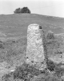 Borne du Nerbier, face orientée vers le Royaume de France. © Région Bourgogne-Franche-Comté, Inventaire du patrimoine