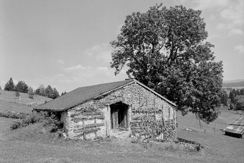 Face gauche avec les vestiges d'un essentage de tavaillons. © Région Bourgogne-Franche-Comté, Inventaire du patrimoine Face gauche avec les vestiges d'un essentage de tavaillons. © Région Bourgogne-Franche-Comté, Inventaire du patrimoine