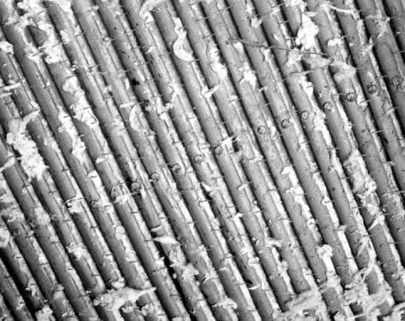 Chargeur peseur : lattes du tablier. © Région Bourgogne-Franche-Comté, Inventaire du patrimoine