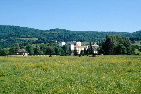 Vue d'ensemble depuis le nord-ouest. © Région Bourgogne-Franche-Comté, Inventaire du patrimoine