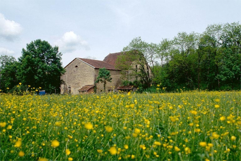 Vue d'ensemble depuis le sud-est. © Région Bourgogne-Franche-Comté, Inventaire du patrimoine