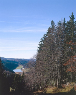 Vue du lac de Lamoura. © Région Bourgogne-Franche-Comté, Inventaire du patrimoine