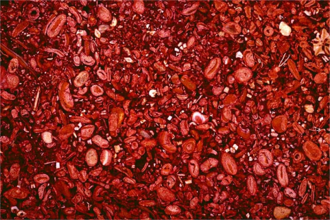 Echantillon de marbre de Sampans dit Grain d'orge. © Région Bourgogne-Franche-Comté, Inventaire du patrimoine