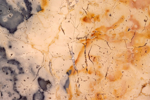 Echantillon de marbre de Crans. © Région Bourgogne-Franche-Comté, Inventaire du patrimoine