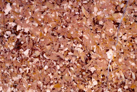 Echantillon de marbre de Montagna-le-Reconduit, actuellement dit marbre de Balanod. © Région Bourgogne-Franche-Comté, Inventaire du patrimoine