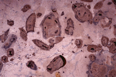 Echantillon de marbre de Loulle. © Région Bourgogne-Franche-Comté, Inventaire du patrimoine
