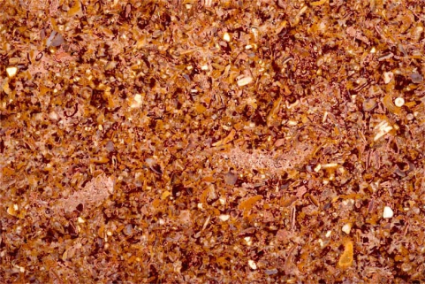 Echantillon de marbre de Chanelet. © Région Bourgogne-Franche-Comté, Inventaire du patrimoine