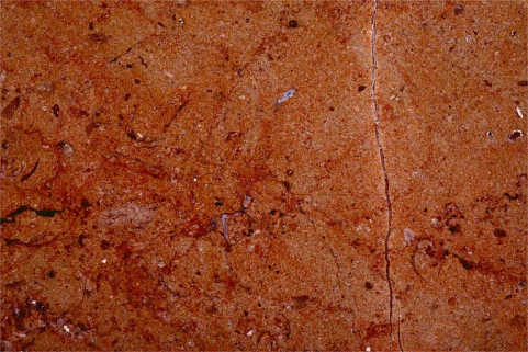 Echantillon de marbre de Montagna-le-Reconduit, actuellement dit marbre de Balanod. © Région Bourgogne-Franche-Comté, Inventaire du patrimoine