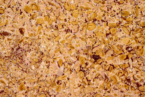 Echantillon de marbre de Sampans dit Grain d'orge. © Région Bourgogne-Franche-Comté, Inventaire du patrimoine