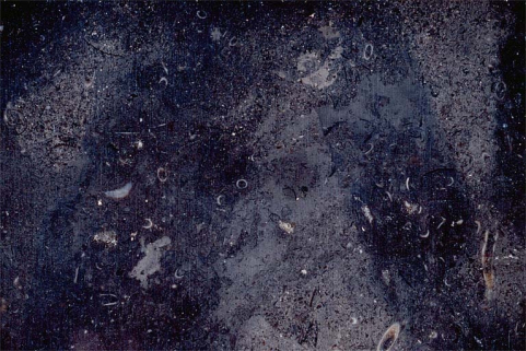 Echantillon de marbre du Petit Gizia. © Région Bourgogne-Franche-Comté, Inventaire du patrimoine