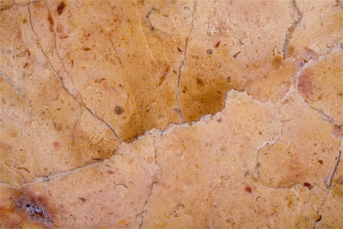 Carrière de Marignat, commune de Chassal : échantillon de marbre. © Région Bourgogne-Franche-Comté, Inventaire du patrimoine