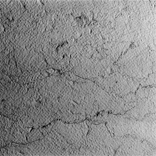 Détail du parement de la façade au sud (traces de boucharde). © Région Bourgogne-Franche-Comté, Inventaire du patrimoine