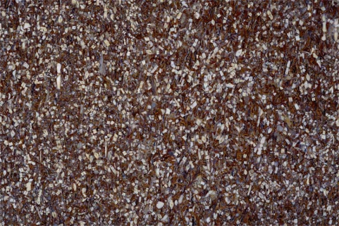 Echantillon de marbre dit Gris du Jura. © Région Bourgogne-Franche-Comté, Inventaire du patrimoine