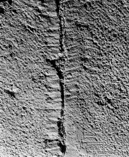 Traces de boucharde et ciselures dans la quatrième travée nord de la coursière du vaisseau central. © Région Bourgogne-Franche-Comté, Inventaire du patrimoine