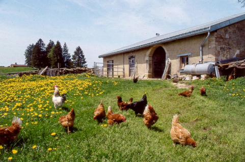 Vue générale de la façade antérieure d'une ferme. © Région Bourgogne-Franche-Comté, Inventaire du patrimoine Vue générale de la façade antérieure d'une ferme. © Région Bourgogne-Franche-Comté, Inventaire du patrimoine