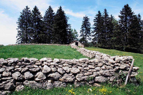 Etable à vaches et murets de pâture. © Région Bourgogne-Franche-Comté, Inventaire du patrimoine Etable à vaches et murets de pâture. © Région Bourgogne-Franche-Comté, Inventaire du patrimoine
