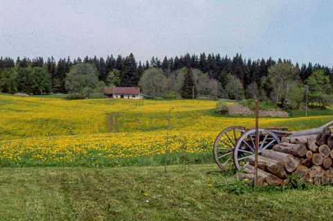 Vue de situation. © Région Bourgogne-Franche-Comté, Inventaire du patrimoine Vue de situation. © Région Bourgogne-Franche-Comté, Inventaire du patrimoine
