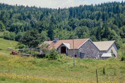 Lucarne à pignon permettant l'accès à la grange haute. © Région Bourgogne-Franche-Comté, Inventaire du patrimoine Lucarne à pignon permettant l'accès à la grange haute. © Région Bourgogne-Franche-Comté, Inventaire du patrimoine